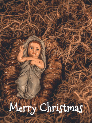 Baby in Hay Christmas Card