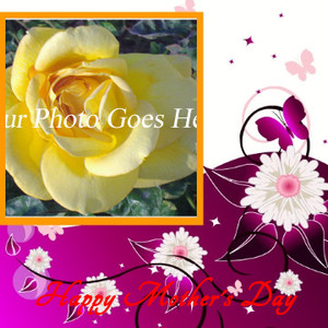 Where He Leads Floral Faith Card