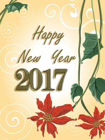 New Year 2017 10